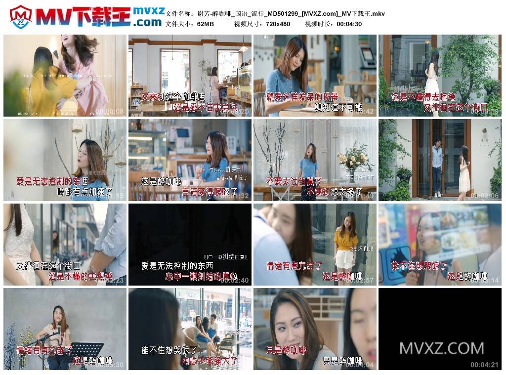 谢芳-醉咖啡_国语_流行_MD501299